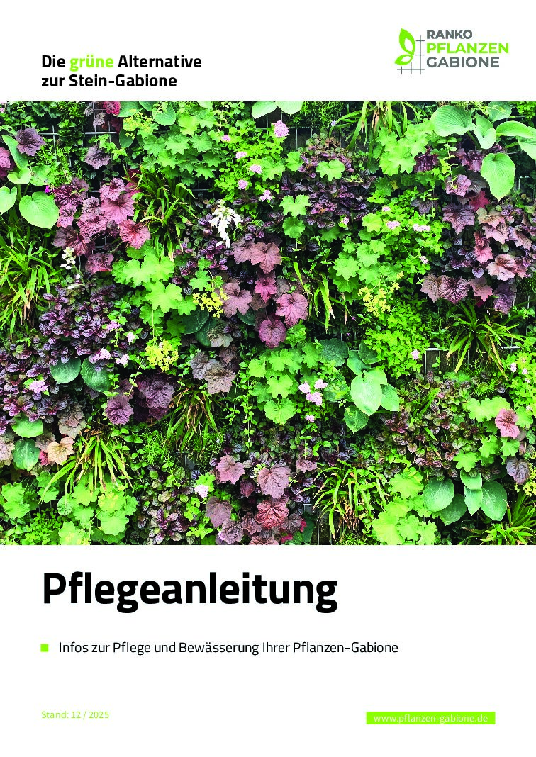 Pflanzen-Gabione_Pflegeanleitung